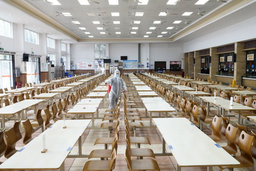餐餐添香，楠傲承包——佛山三水工廠員工食堂的食材鮮味與品質承諾